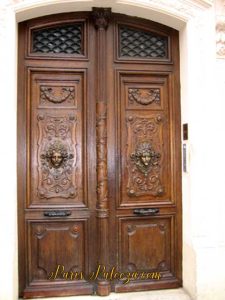 Paris Door with Renaissance Features