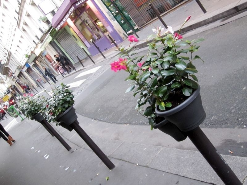 Bitte de Trottoir 2