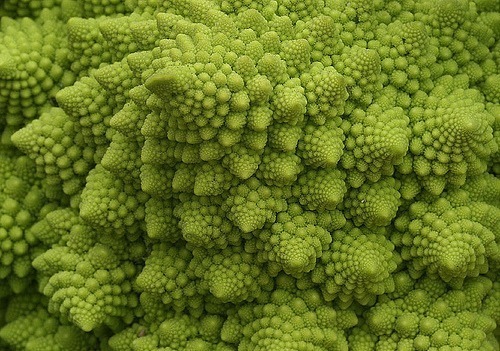 Chou Romanesco