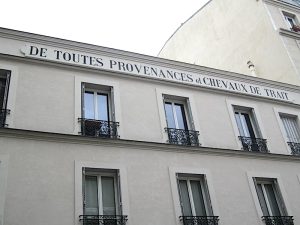 Marché aux Chevaux 13