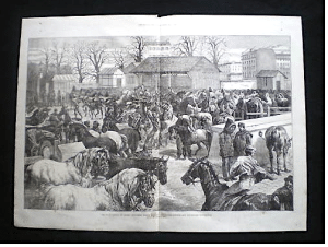 Marché aux Chevaux 14
