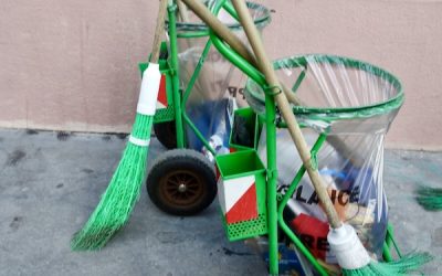 Cleaning Up after the Dogs of Paris