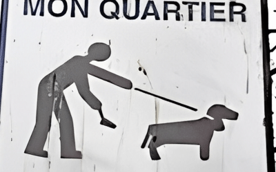 Paris Dog Poop