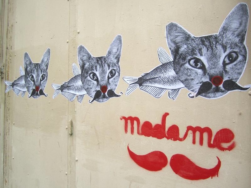 3 Catfish with Mustaches