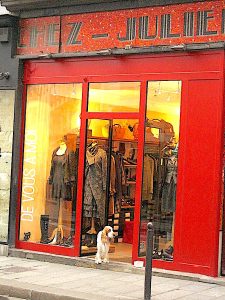 Boutique dog on duty