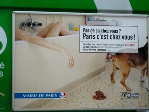 Sign warning about dog poop fines