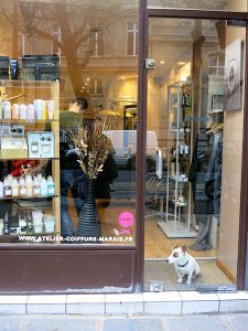 Paris Coiffure Shop Dog