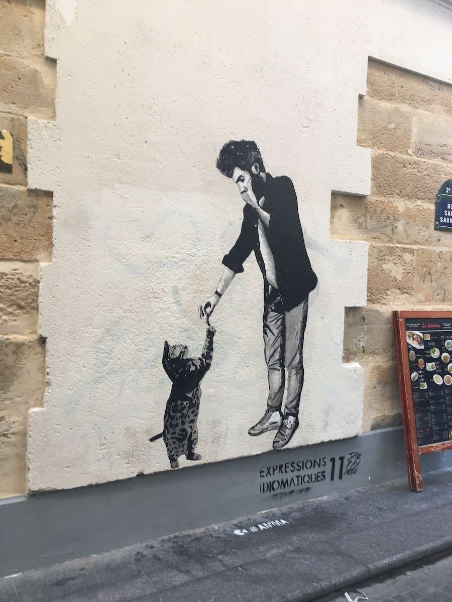 Paris Street Art man with cat