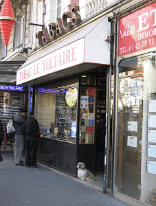 Tabac dog