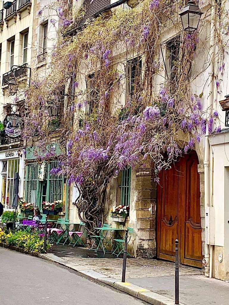 Au Vieux Paris d’Arcole